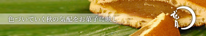 秋メニュー